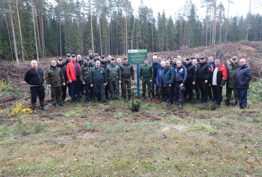 Спасатели Минщины высадили более 12 тысяч деревьев в рамках акции «Дай лесу новае жыццё!»  (SB.BY)