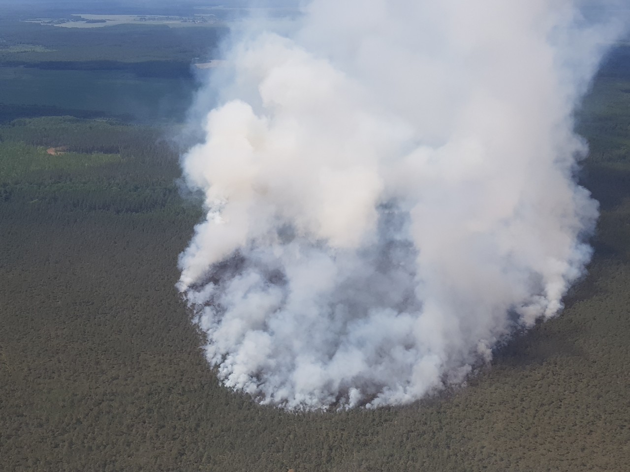 Пожар леса в Пуховичском районе ликвидирован