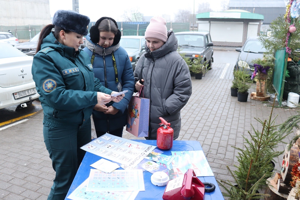  Важные напоминания в канун Нового года (Борисовский район)