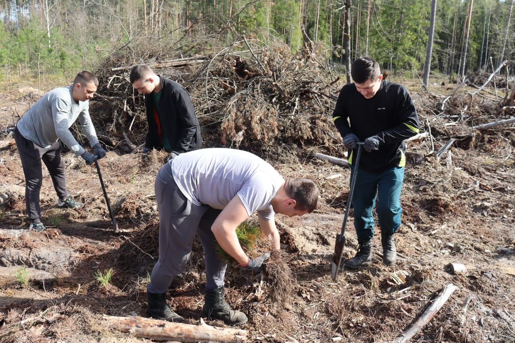 Спасатели Слутчины приняли участие в республиканской акции «Обновим леса вместе-2024»