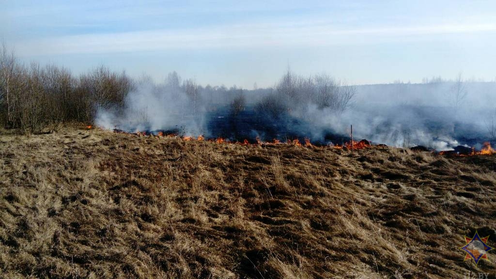 Вилейский район Минская область Беларусь